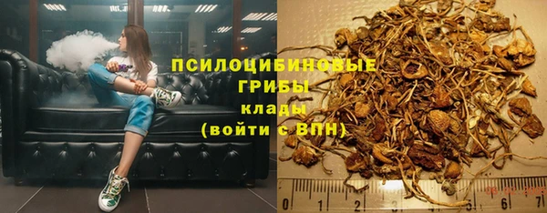 герыч Корсаков
