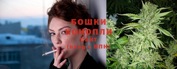 прущий лед Костерёво