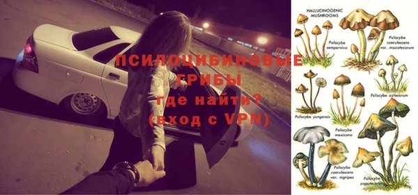 прущий лед Костерёво
